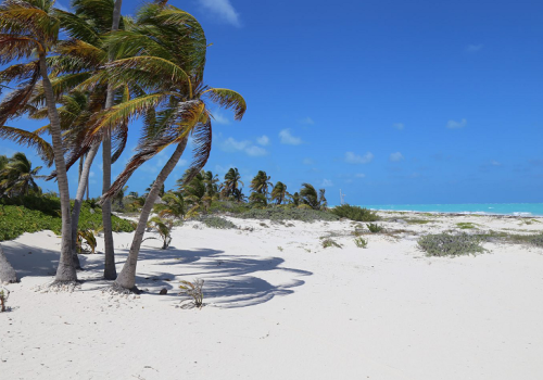 Isla Blanca From $60.00 USD