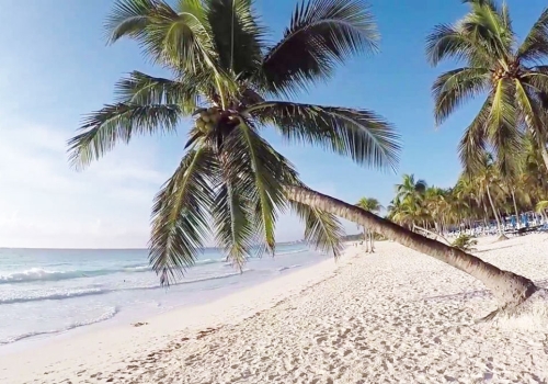 Playa Paraiso | From: $50.00 USD